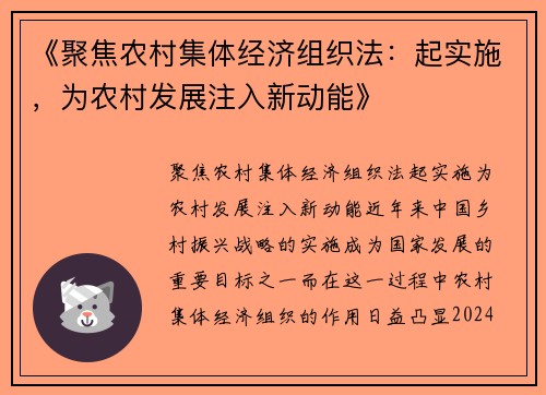 《聚焦农村集体经济组织法：起实施，为农村发展注入新动能》